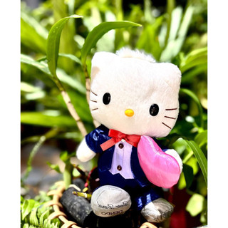 Gấu bông kitty chú rễ