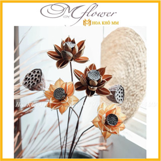  Hoa Sen Gỗ Decor – Hoa Khô Nghệ Thuật Hoa Trang Trí Phòng Khách Bàn Trà Không Gian Thiền 