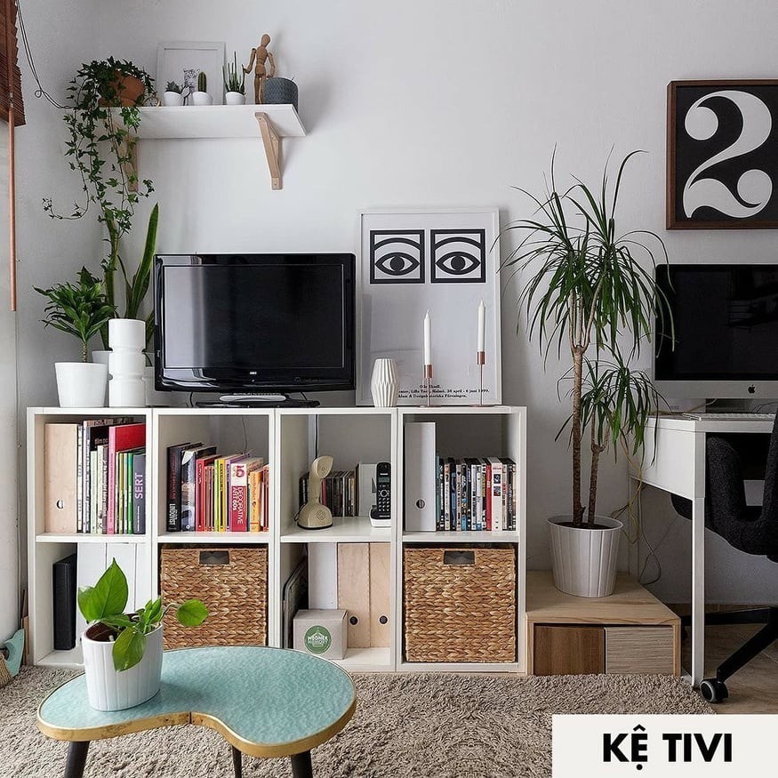Kệ sách tổ ong đa năng 6 ngăn, kệ decor, trang trí phòng KÍN LƯNG chất liệu gỗ MDF phủ Melamine dễ lắp ráp ND38 | BigBuy360 - bigbuy360.vn