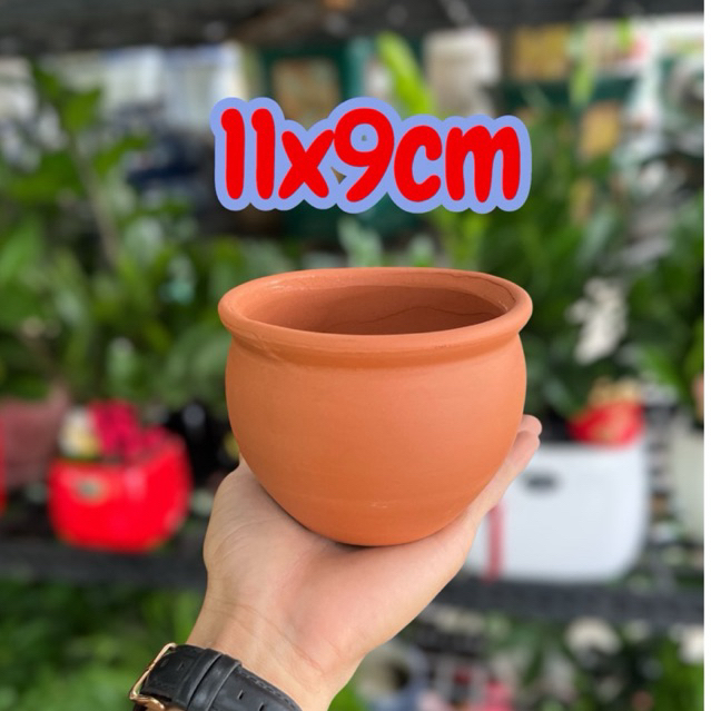 Chậu Đất Nung Lu 10x8cm