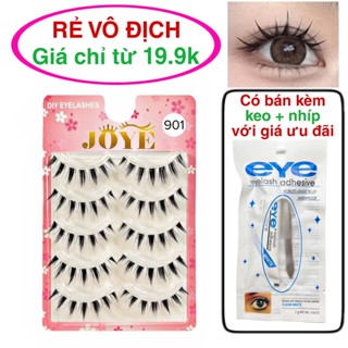 Lông mi giả gân trong 5 cặp JOYE kiểu Anime, mắt ướt rẻ nhất Việt Nam (bao giá)