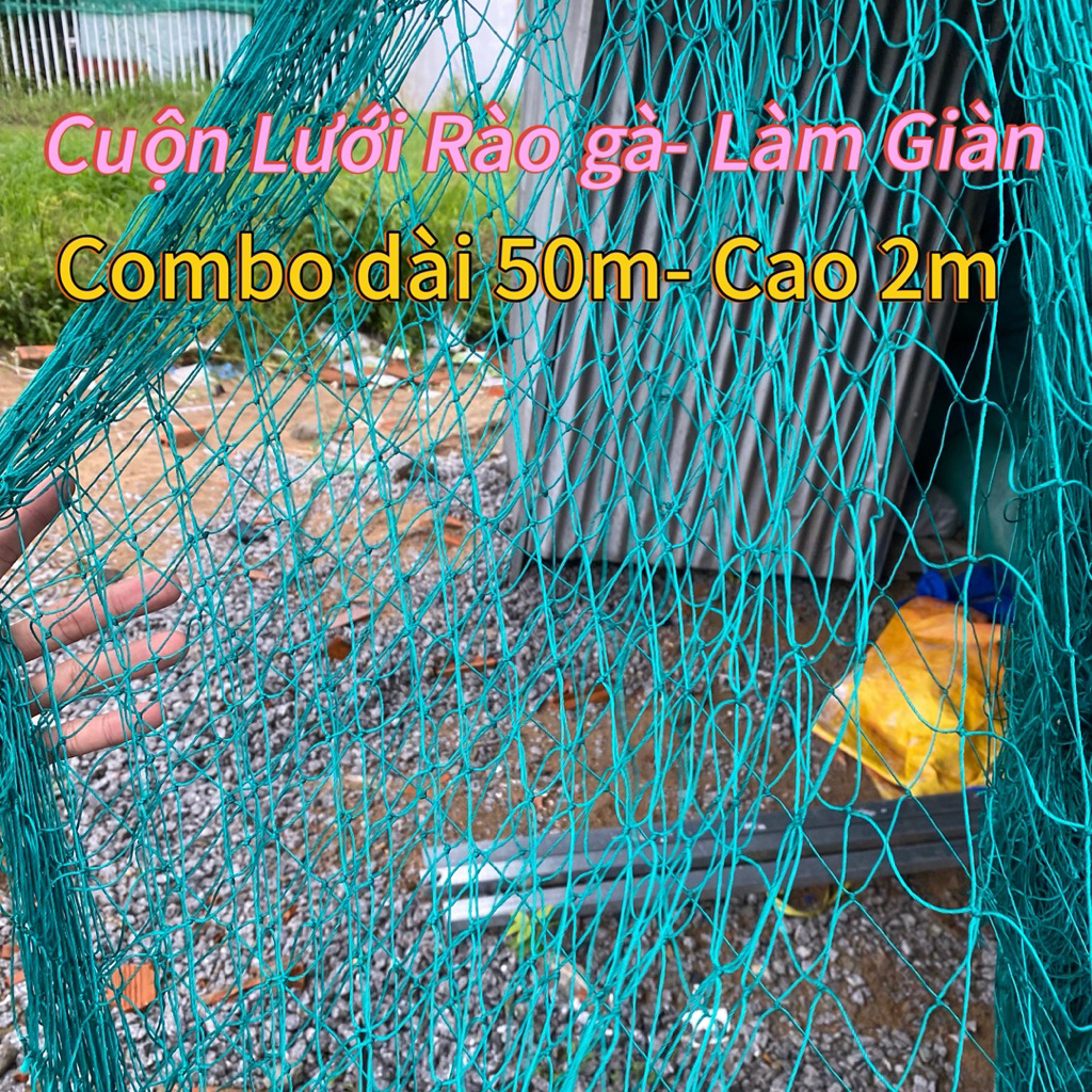 Combo 50m - Rộng 2m Lưới rào gà, rào sân bóng, lưới làm giàn leo, lưới rào vườn loại lưới Dù cá thu 