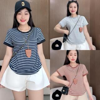 Áo Thun Kiểu Bigsize Nữ Kẻ Sọc Phom Ôm Babytee Co Giãn Thoải Mái Basic Mềm Mát Tôn Dáng 50-90kg - A285