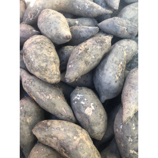 150k/10kg khoai sâm Lai Châu ăn ngọt , mát, giòn( 7,8,9 củ /kg)