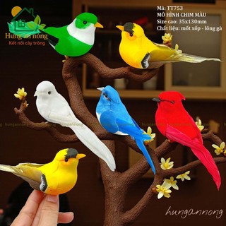  TT753 -mô hình chim màu DIY trang trí tết nhánh cây tiểu cảnh bonsai cây để bàn size 35x130mm - nhớ xem mô tả 
