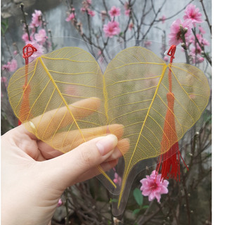 [set 3 lá]Lá bồ đề ép sẵn viết thư pháp