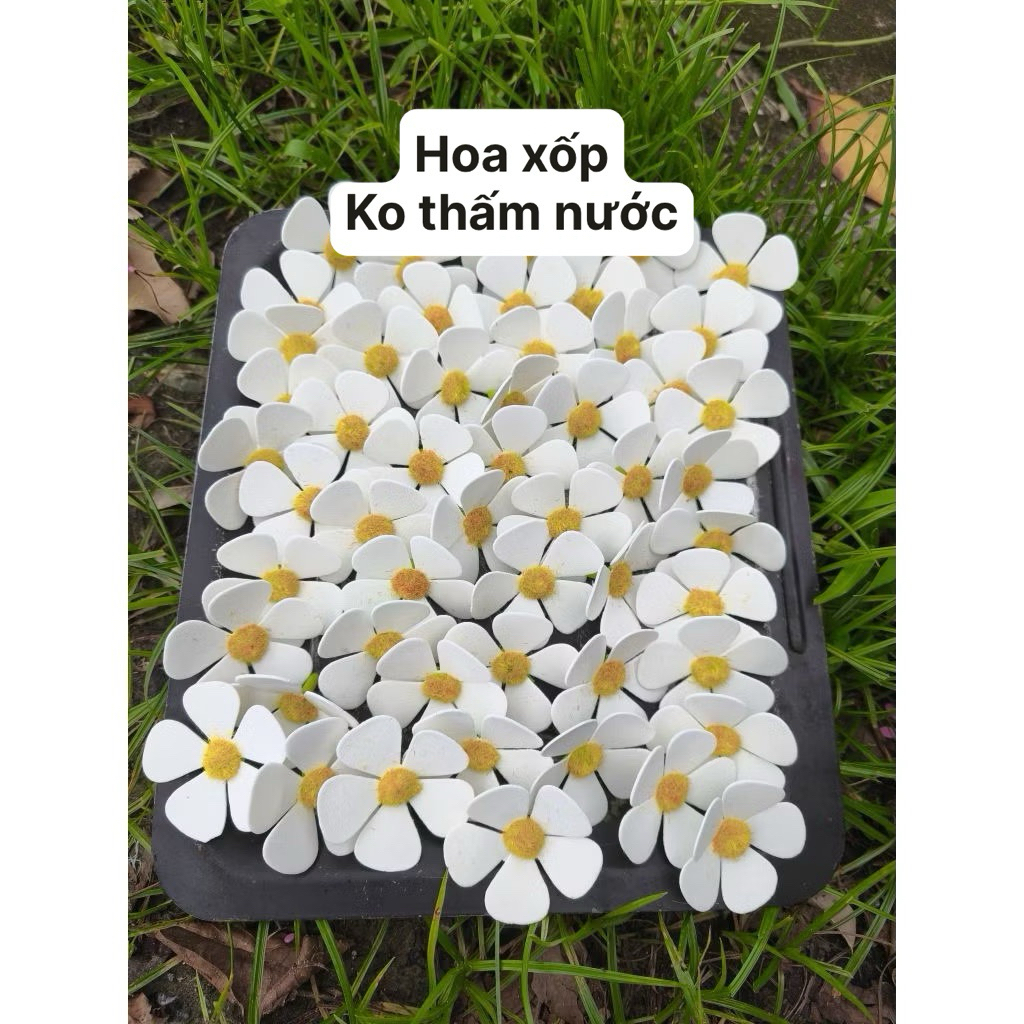 Bịch 50 bông hoa Cúc Sứ Violet trắng (5cm) trang trí bó hoa,hộp quà ,decor hanmade