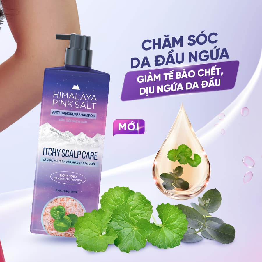 Dầu Gội Sạch Gàu Muối Hồng Himalaya Itchy Scalp Care – Giảm Gàu, Làm Dịu Da Đầu Hiệu Quả