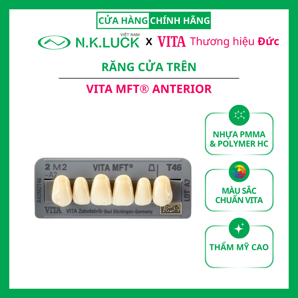 Răng cửa trên VITA MFT Anterior (1 vỉ 6 răng) dùng cho tháo lắp răng nhựa nha khoa