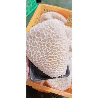 Tổ Ong Bò đã được luộc chín và làm sạch 1kg ( Giao siêu tốc TPHCM)