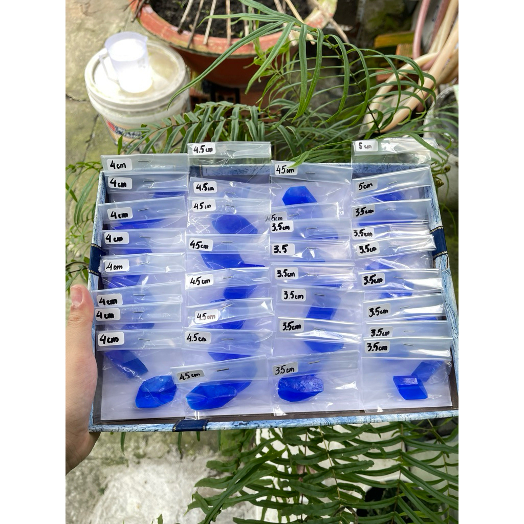 (TINH THỂ NUÔI SẴN)Tinh thể CuSO4 đơn tinh làm sẵn kích thước 3.5-5cm