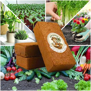  Viên Nén Xơ Dừa 500gr Lam Dương Đất Trồng Xơ Dừa Đã Qua Xử Lý Nở Gấp 5 Lần Trồng Rau Hoa 