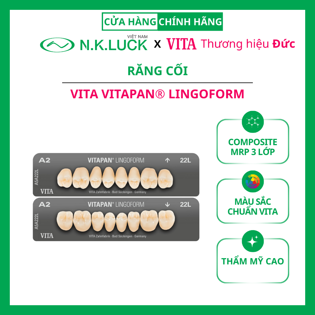 Răng cối VITA VITAPAN LINGOFORM Posterior dùng cho tháo lắp răng nhựa nha khoa