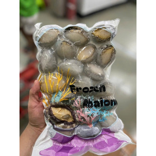 Bào Ngư size 20 con 1kg net 6 Giàu Dinh Dưỡng ( Giao siêu tốc TPHCM)