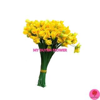 1KG NỤ MAI VẢI