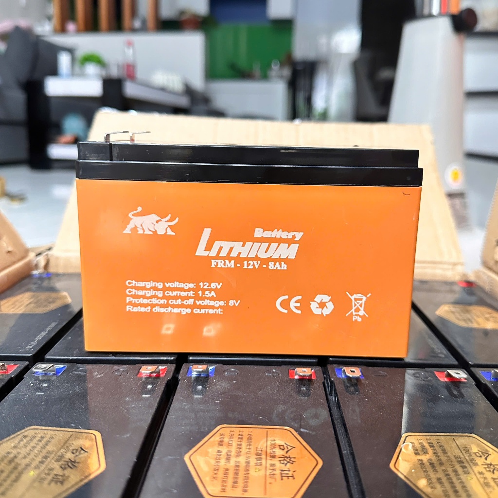 Gợi ý 10 lựa chọn ắc quy 12V lithium nổi bật