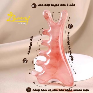  Lược Massage Đa Năng Dụng Cụ Mát Xa Mặt Đầu Cá Heo Guasha Nhựa immerce.sg MASS 