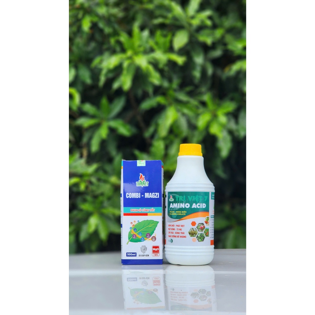 Combo COMBI-MAGZI 500ml & AMINO 1L