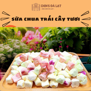  Sữa chua trái cây tươi Chin's Đà Lạt sấy thăng hoa 