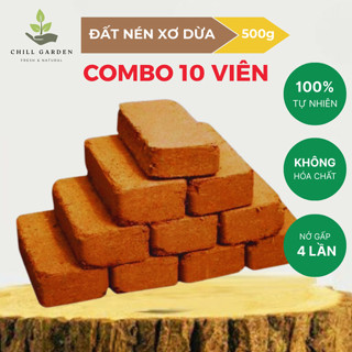 COMBO 10 Viên Xơ Dừa Đất Trồng Cây ươm hạt giống trồng cây trồng rau, Nở gấp 4 lần- TẶNG KÈM CHẬU C9