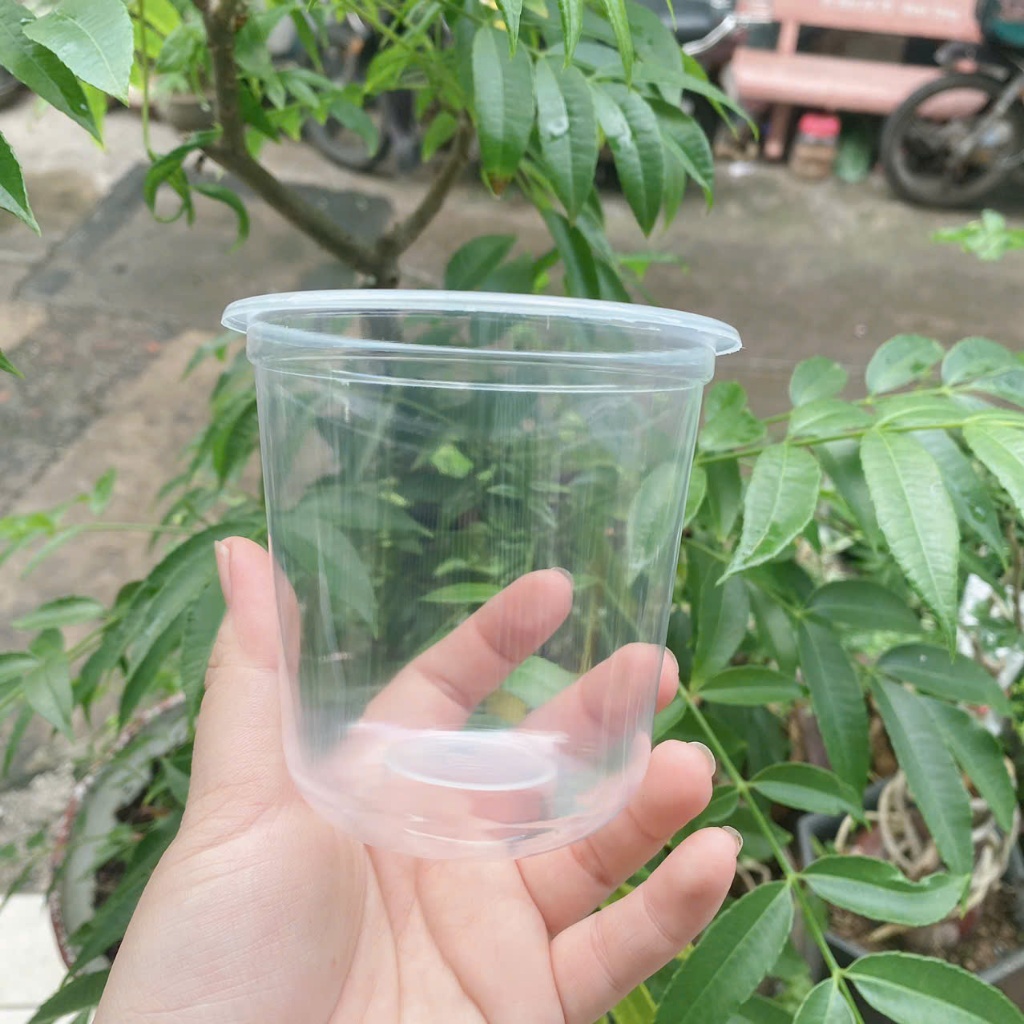 (LOẠI DÀY) [Combo 100 chiếc] Ly Nhựa PP 360ml - 500ml - 700ml Đựng Trà Sữa, Cafe Có Nắp (Đủ Size)