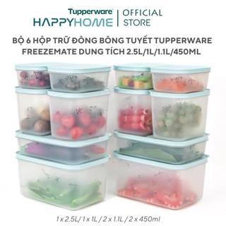  TUPPERWARE KOREAN - BỘ HỘP TRỮ ĐÔNG TUPPERWARE FREEZEMATE GEN II SET 6 MÀU MỚI 2023 