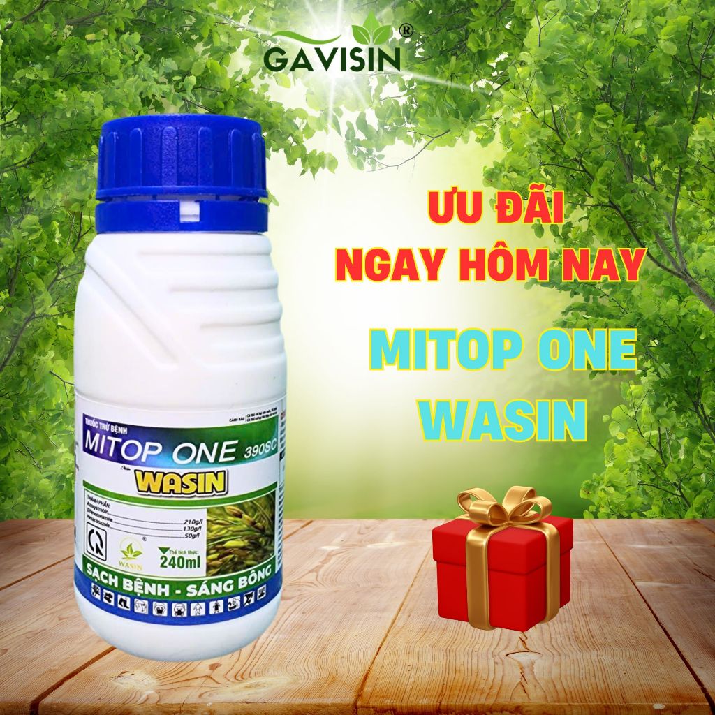 MiTop One 390SC phòng ngừa lem lép hạt