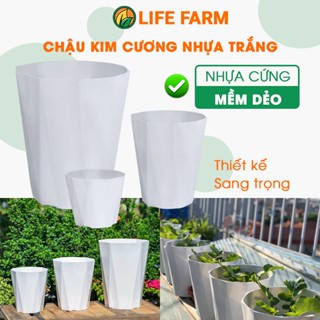 Chậu Kim Cương Trồng Cây 10 Cạnh, Chậu Cảnh Nhựa Cao Cấp, Bền Đẹp, Phù Hợp Nhiều Loại Cây