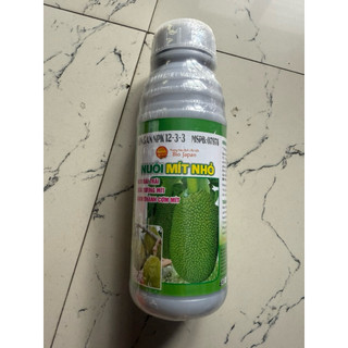 nuôi trái mít nhỏ