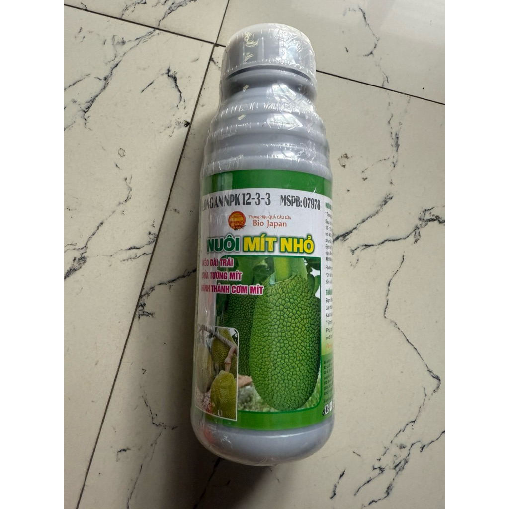 nuôi trái mít nhỏ