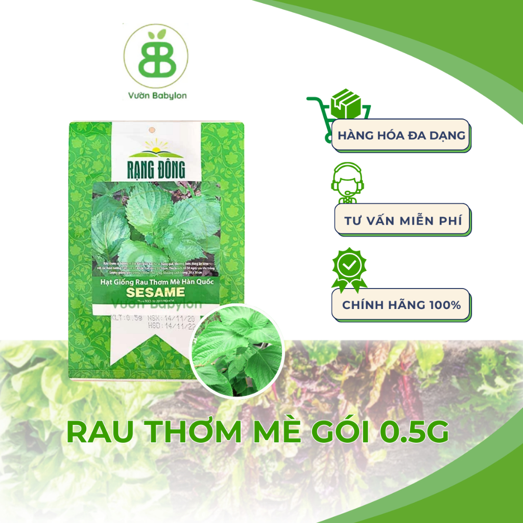 Hạt Giống Rau Thơm Mè Rạng Đông, Lá Mè Vừng Hàn Quốc Dễ Trồng, Thơm Ngon Vuonbabylon - Gói 0.5G