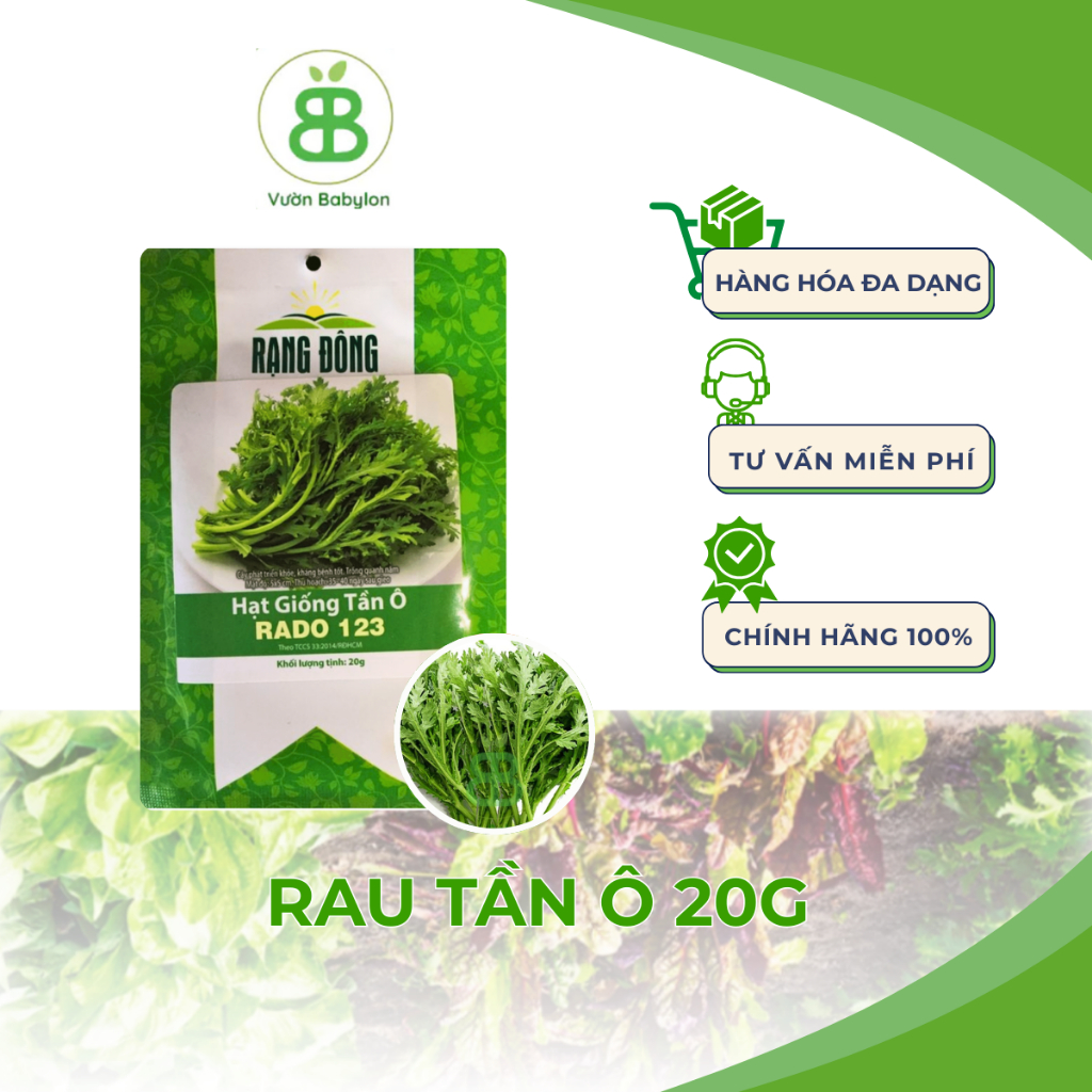Hạt Giống Rau Tần Ô Rạng Đông, Dễ Trồng, Năng Suất Cao, trồng quanh năm Vuonbabylon - Gói 20G