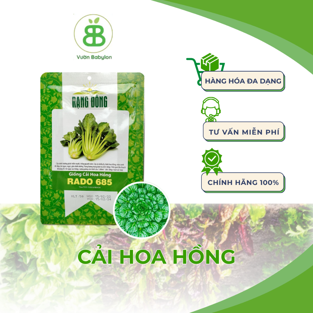 Hạt Giống Cải Hoa Hồng Rạng Đông, Dễ Trồng, Năng Suất Cao, Trồng quanh năm, tỉ lệ nảy mầm cao Vuonbabylon - Gói 5G