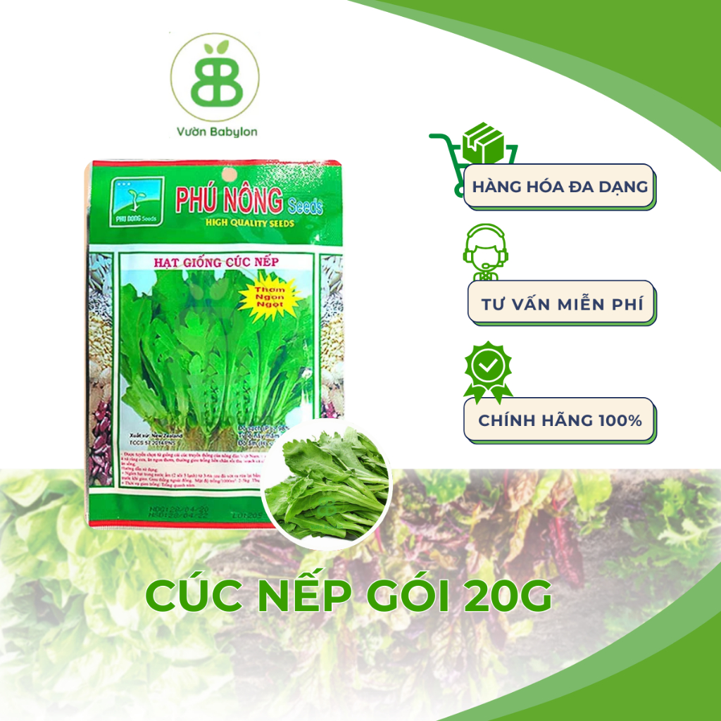 Hạt Giống Cúc Nếp , Dễ Trồng, Năng Suất Cao Phú Nông - Gói 20G
