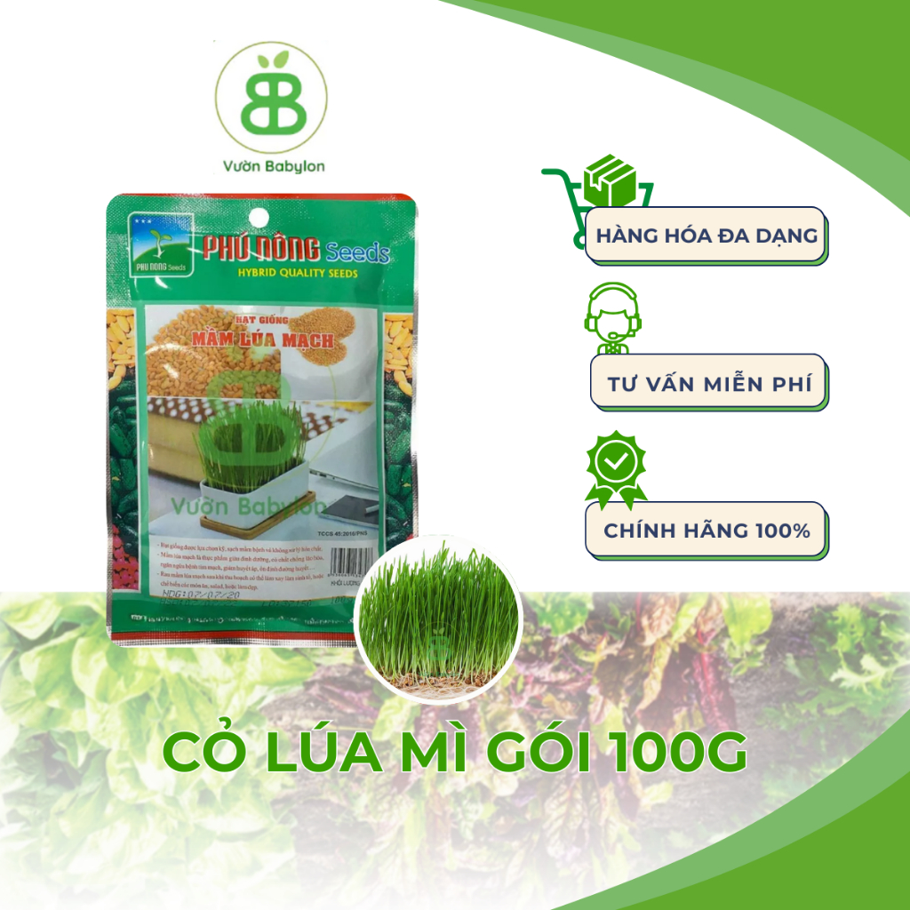 Hạt Giống Cỏ Lúa Mì , Dễ Trồng Quanh Năm, Nảy Mầm Tốt, Dinh Dưỡng Cao Phú Nông - Gói 100G