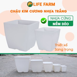  Chậu Nhựa Vuông Trồng Cây Hoa Kích Thước 15x15cm Và 20x20cm Dày Đẹp Bền Chắc Thoát Nước Tốt 
