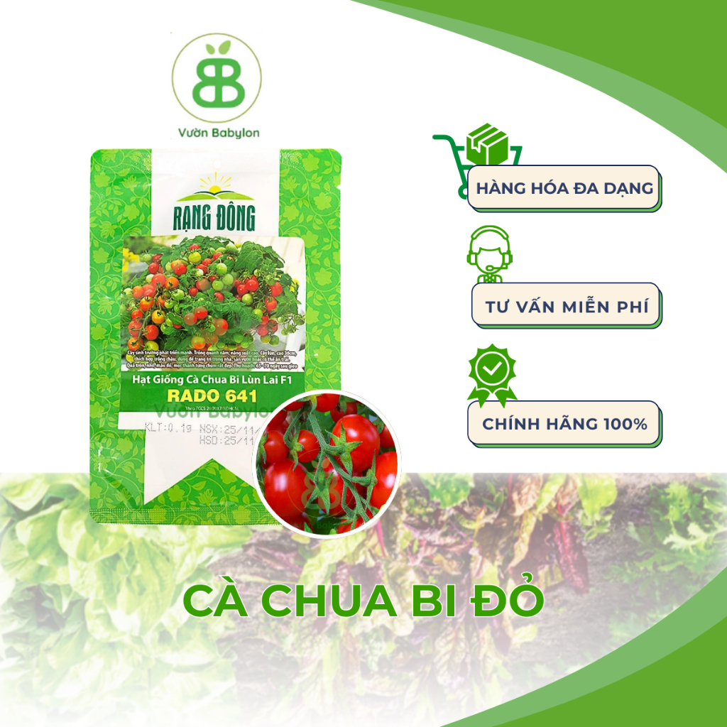 Hạt Giống Cà Chua Bi Đỏ Lùn Rạng Đông, Nảy Mầm Tốt, Năng Suất Cao, Dễ Trồng, Sai Trái Vuonbabylon - Gói 0.1G