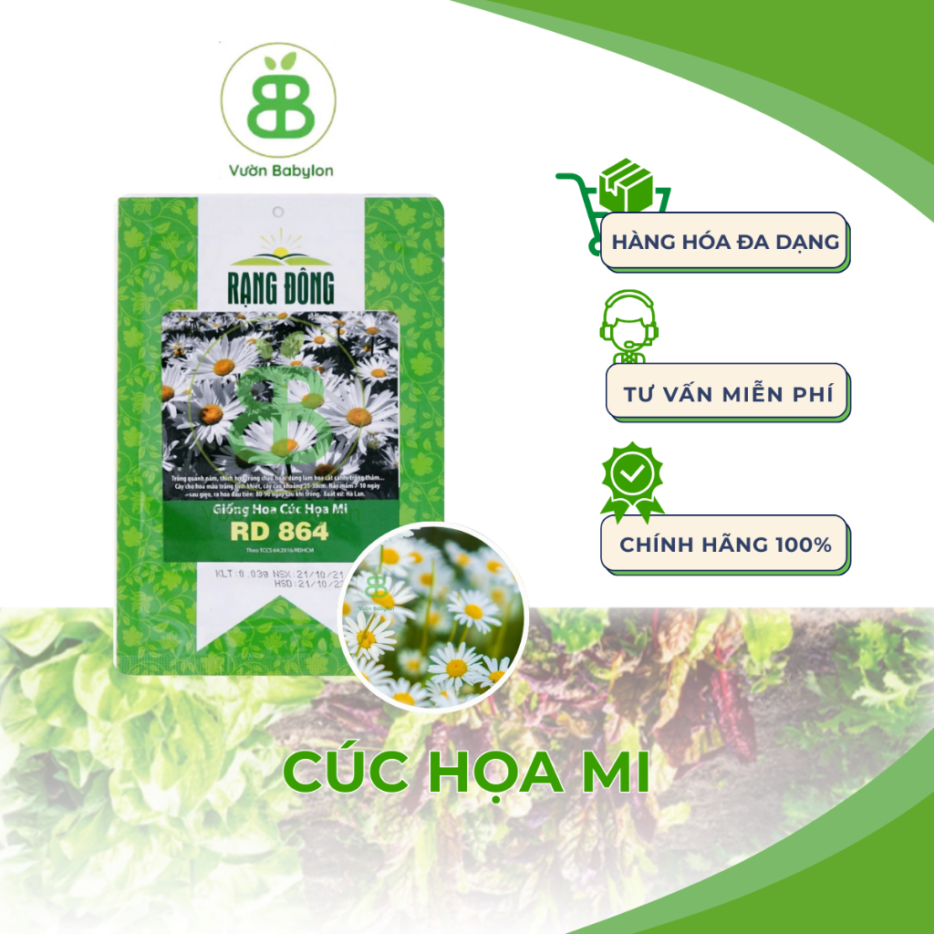 Hạt Giống Cúc Họa Mi RD 864 Rạng Đông, Dễ Trồng, Hoa đều đẹp, Hoa tết dễ trồng Vuonbabylon - Gói 0.03g