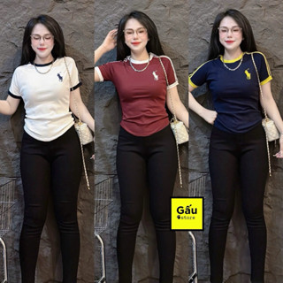  Áo thun nữ phom ôm thêu Ngựa sọc tay bo   CT 139   