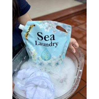 Nước giặt Sea Laundry 1 túi 3l (thùng 4 túi)