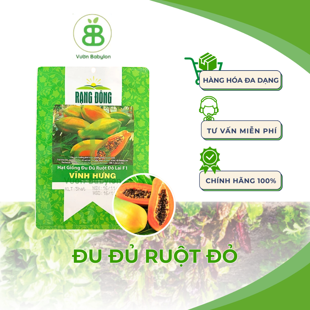 Hạt Giống Đu Đủ Ruột Đỏ Rạng Đông, Siêu Trái, Dễ trồng, Dễ nảy mầm Vuonbabylon - Gói 5 Hạt