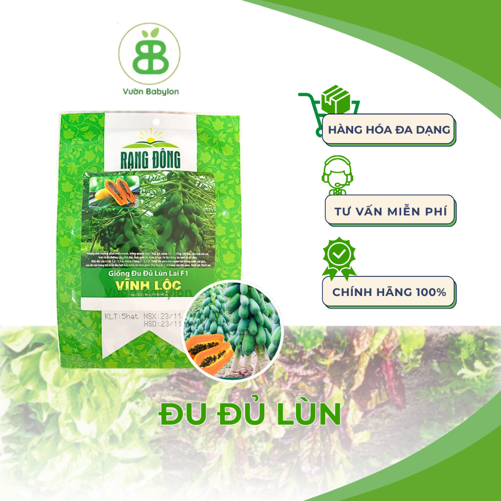 Hạt Giống Đu Đủ Lùn Rạng Đông, Trái Lớn, Sai Trái, Dễ Trồng, Tỉ lệ nảy mầm cao - Gói 5 Hạt