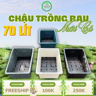  COMBO chậu nhựa trồng rau nuôi cá 63x43x30  70 lít  cao cấp KÈM VỈ THOÁT NƯỚC - Quang Anh HCM 