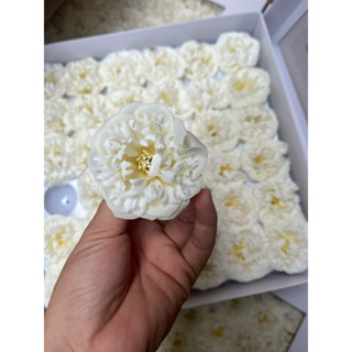  Hoa sáp SOPHIA   hộp 36 bông  