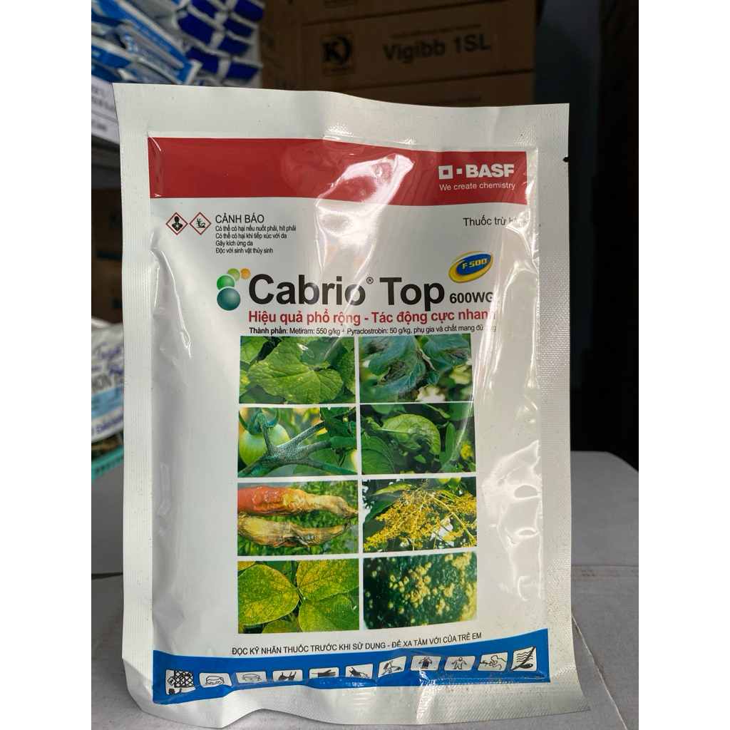 Cabrio Top 600wg nấm bệnh 100gr