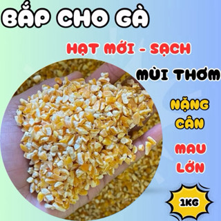  Bắp bể ngô bể loại 1 không cùi cho gà đá chim cu gáy chuột hamster 1kg 