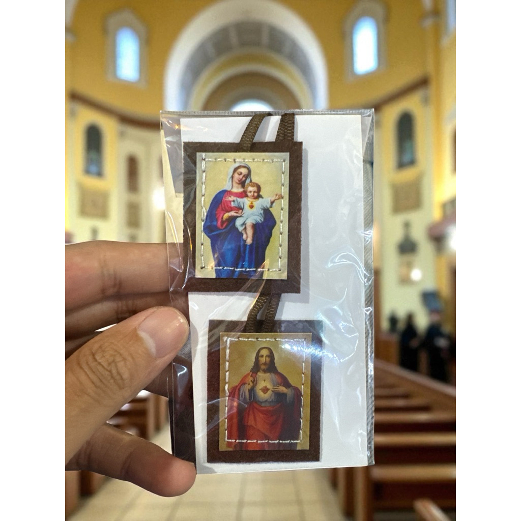 👕 ÁO ĐỨC BÀ VẢI – HÌNH ĐỨC MẸ CARMEL & THÁNH TÂM CHÚA