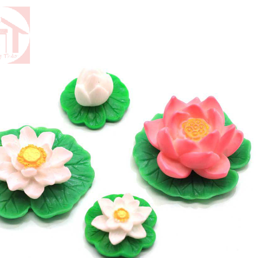 Bụi hoa sen trang trí tiểu cảnh, hồ cá