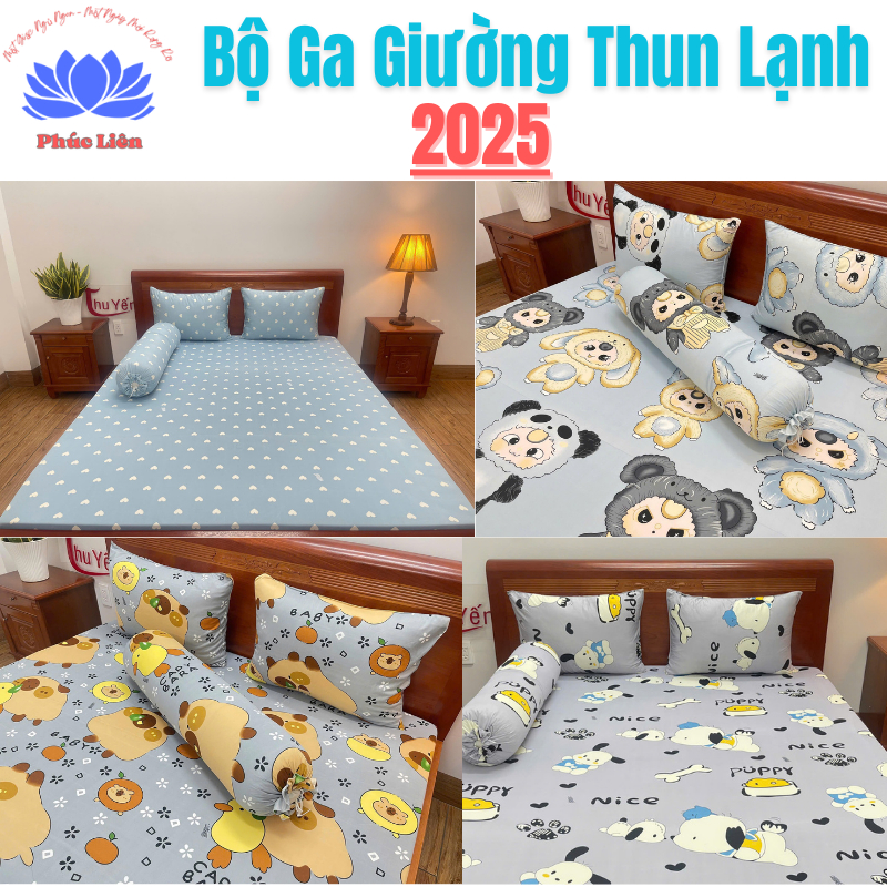 Bộ ga thun lạnh Hàn Quốc 4 món - Hình Thú Capybara