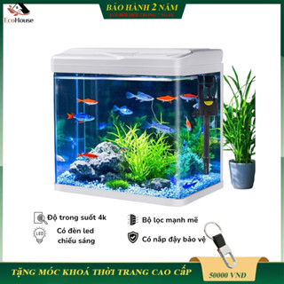  Bể cá mini đúc nguyên khối bể cá văn phòng combo đẩy đủ có đèn led và lọc đầy đủ. Decor phòng làm việc bàn máy tính 